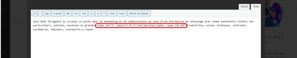 edition article wordpress zone texte erreur code etude design cro